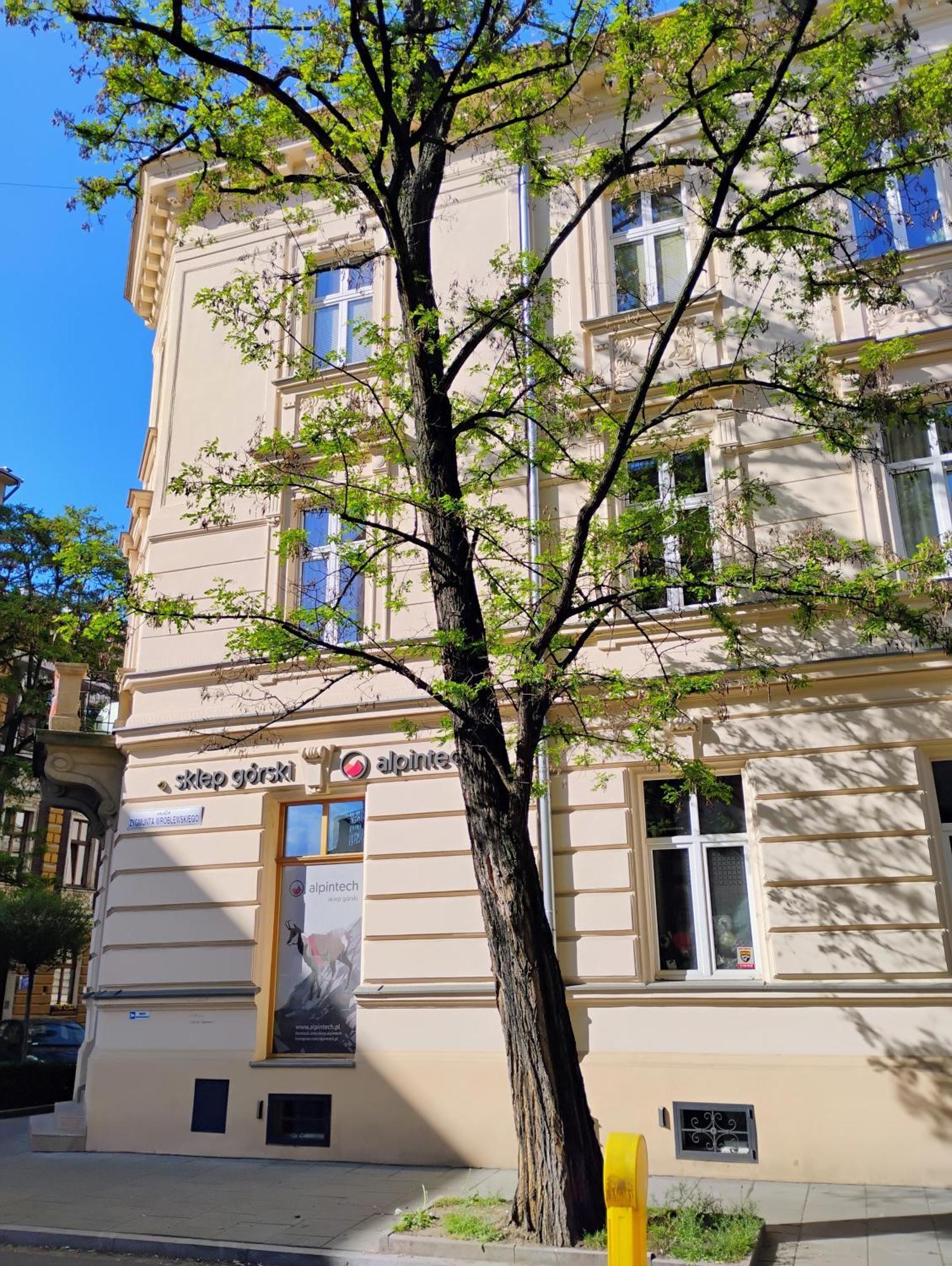 Apartament Rozy Cracovie Extérieur photo